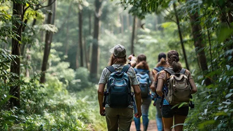 A photorealistic image of a small group of responsible tourists on a guided ecotour, walking carefully on a designated trail in a pristine forest. The guide is pointing to a distant bird, emphasizing observation from a respectful distance. The tourists are carrying reusable water bottles and small backpacks, demonstrating "leave no trace" principles. Cinematic lighting, sharp focus on the group and their interaction with nature, depth of field blurring the dense foliage. 8K hyper-detailed, professional photography, shot on a high-end DSLR. A photorealistic image of a small group of responsible tourists on a guided ecotour, walking carefully on a designated trail in a pristine forest. The guide is pointing to a distant bird, emphasizing observation from a respectful distance. The tourists are carrying reusable water bottles and small backpacks, demonstrating "leave no trace" principles. Cinematic lighting, sharp focus on the group and their interaction with nature, depth of field blurring the dense foliage. 8K hyper-detailed, professional photography, shot on a high-end DSLR.