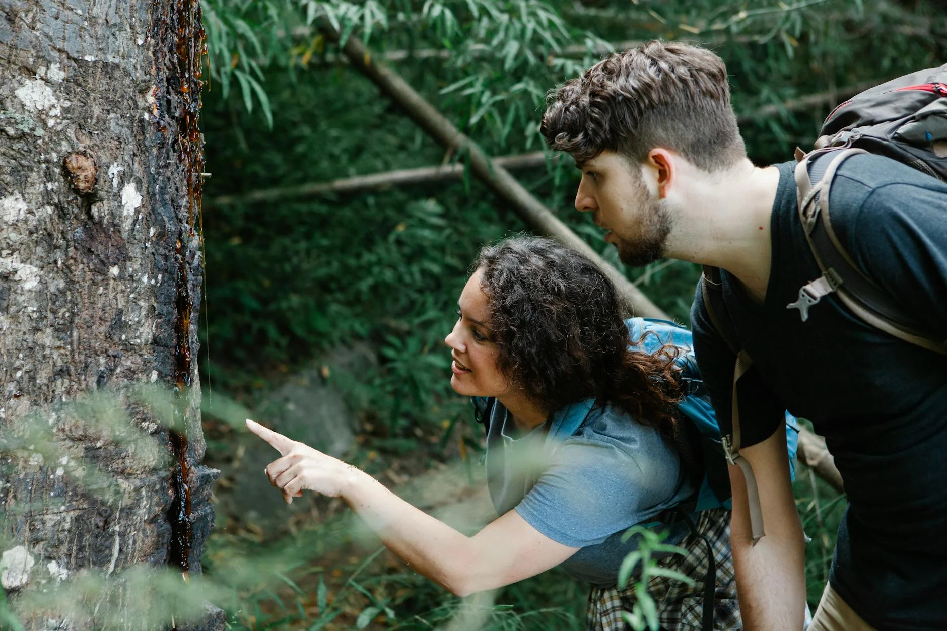 Side view of cheerful female hiker showing trunk of tree to positive boyfriend while traveling together in forest in daytime — Foto: Vanessa Garcia / Pexels