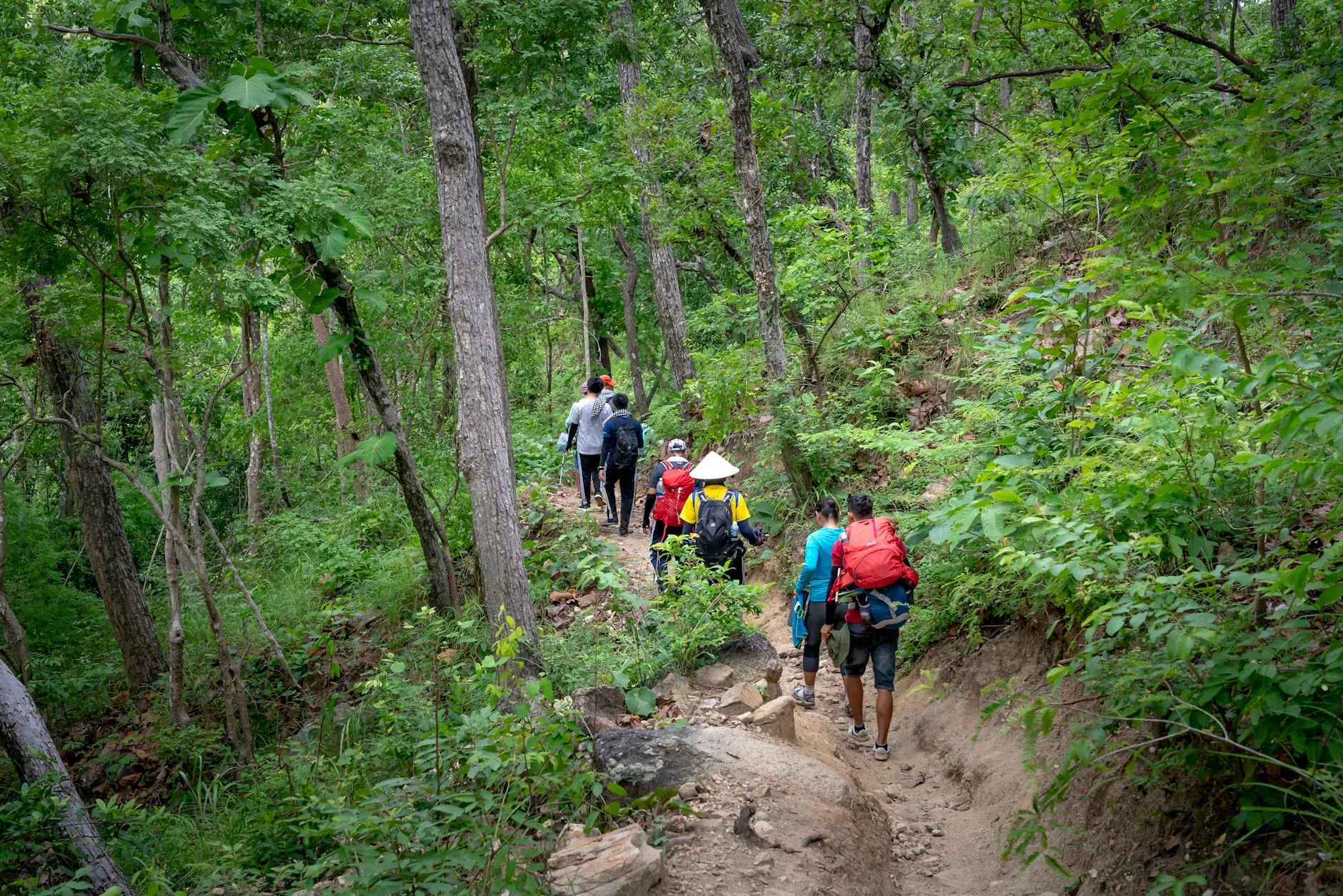 From above of faceless travelers with backpacks in casual clothes walking along narrow dirty path in lush green jungle during hiking tour — Foto: Quang Nguyen Vinh / Pexels
