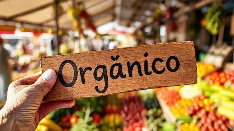 A close-up of a hand holding a rustic wooden sign that says "Orgânico" in a hand-painted font, with a blurred background of a bustling open-air market stall filled with colorful, diverse produce, natural sunlight, photorealistic, professional photography, 8K, cinematic lighting, sharp focus, depth of field, shot on a high-end DSLR. A close-up of a hand holding a rustic wooden sign that says "Orgânico" in a hand-painted font, with a blurred background of a bustling open-air market stall filled with colorful, diverse produce, natural sunlight, photorealistic, professional photography, 8K, cinematic lighting, sharp focus, depth of field, shot on a high-end DSLR.