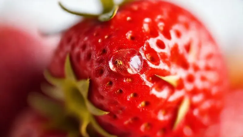 A close-up, macro shot of an organic strawberry with a slight imperfection on its skin and a tiny dewdrop, showcasing its natural beauty and freshness. The background is softly blurred, highlighting the vibrant red and green colors of the fruit, sharp focus, depth of field, natural light, photorealistic, professional photography, 8K, cinematic lighting, shot on a high-end DSLR. A close-up, macro shot of an organic strawberry with a slight imperfection on its skin and a tiny dewdrop, showcasing its natural beauty and freshness. The background is softly blurred, highlighting the vibrant red and green colors of the fruit, sharp focus, depth of field, natural light, photorealistic, professional photography, 8K, cinematic lighting, shot on a high-end DSLR.