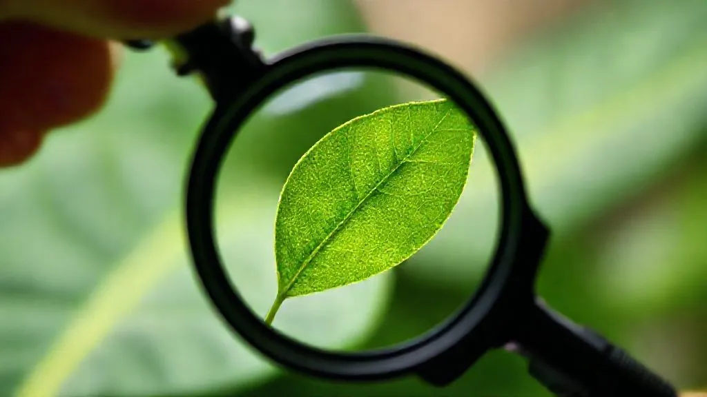 Evite o Greenwashing: 5 Pilares para Certificar um Hotel Verde de Verdade