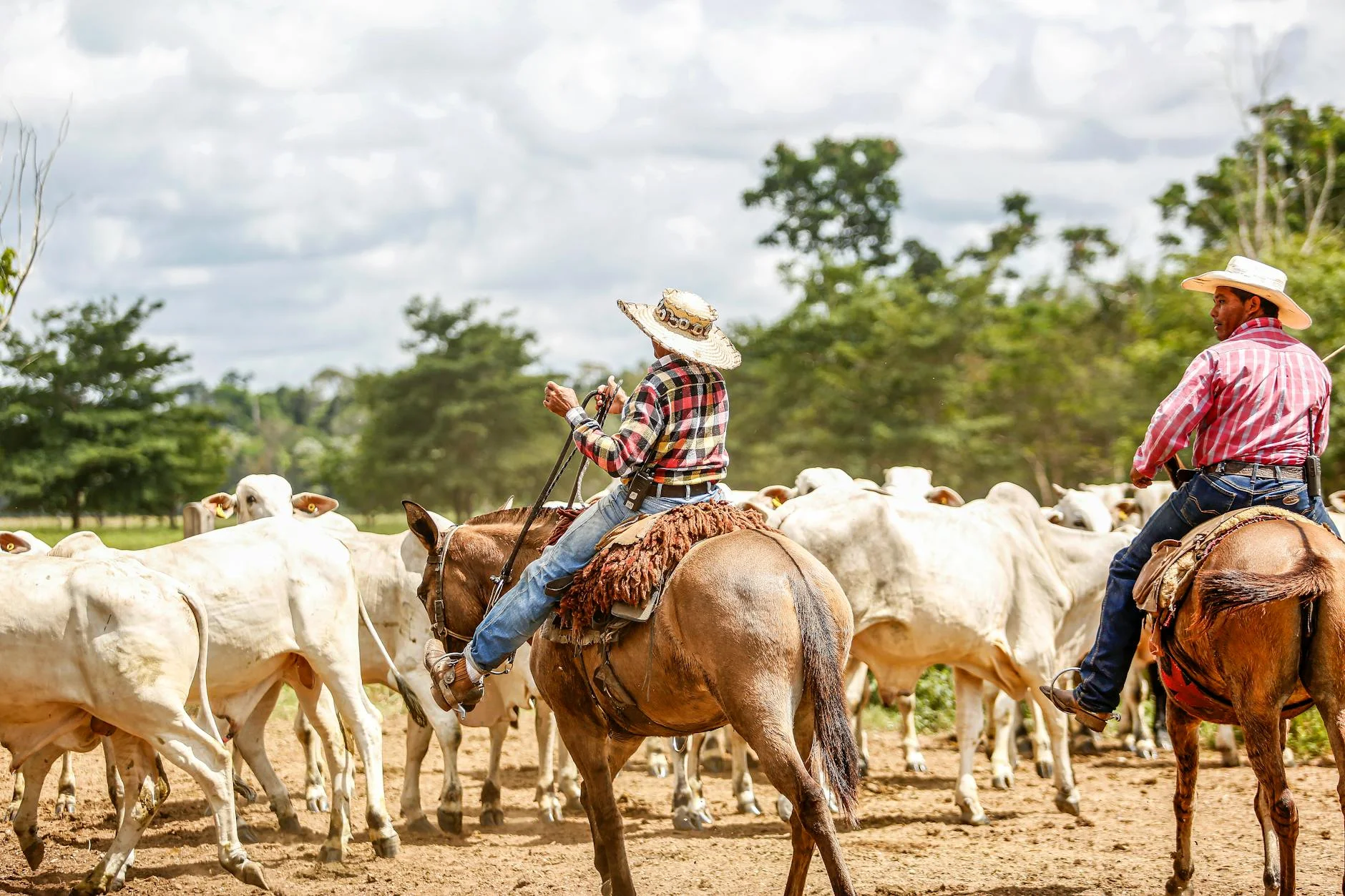 5 Estratégias Essenciais para Apoiar Produtores Locais na Gastronomia Rural Sustentável
